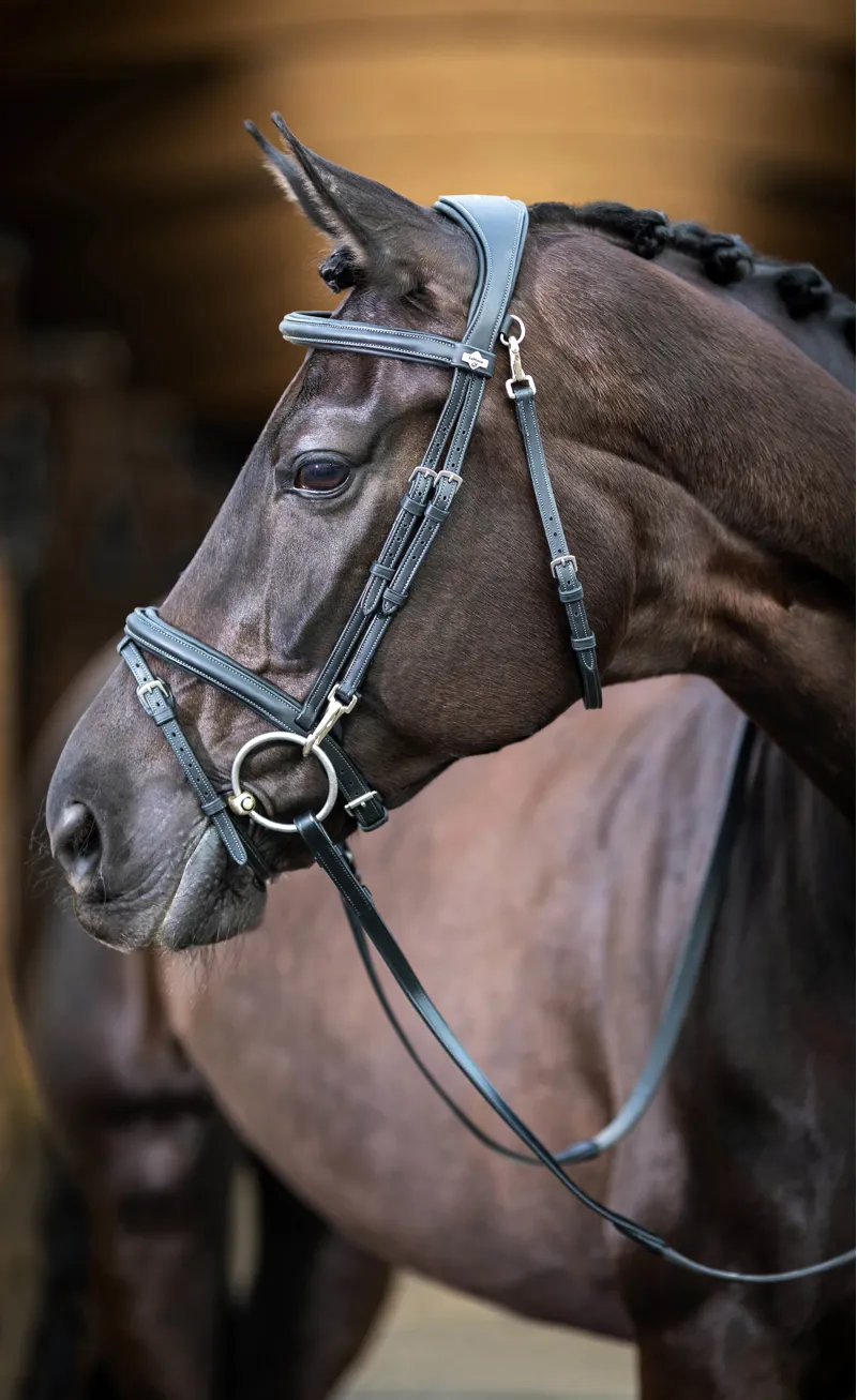 LeMieux Kudos Work Bridle in Black